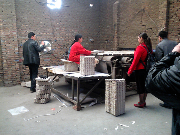 ���ЙC�u�G��ɬF��